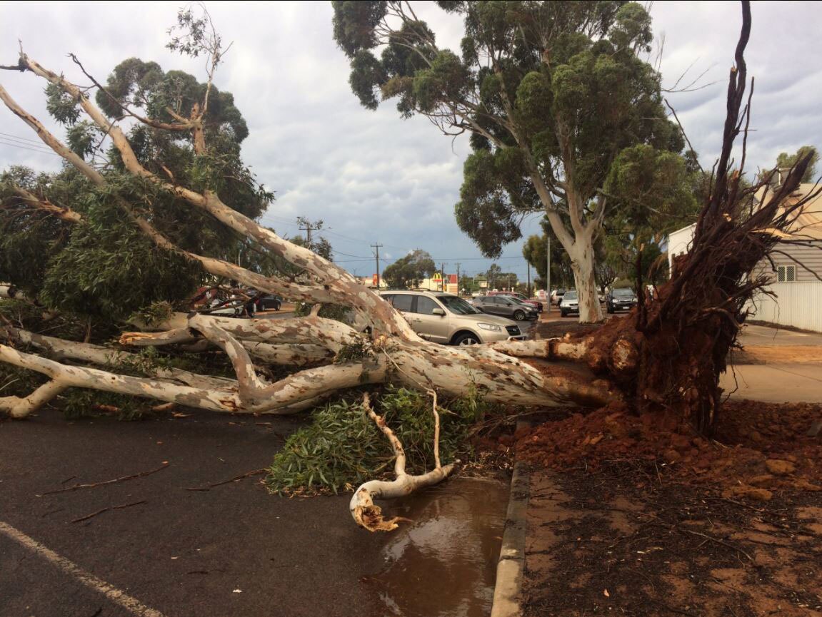 Kalgoorlie storm wreaks havoc, leaving homes and businesses without