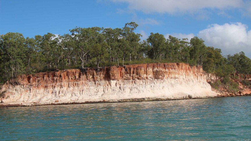 Wideshot of of a landscape of white cliffs, trees and sea.