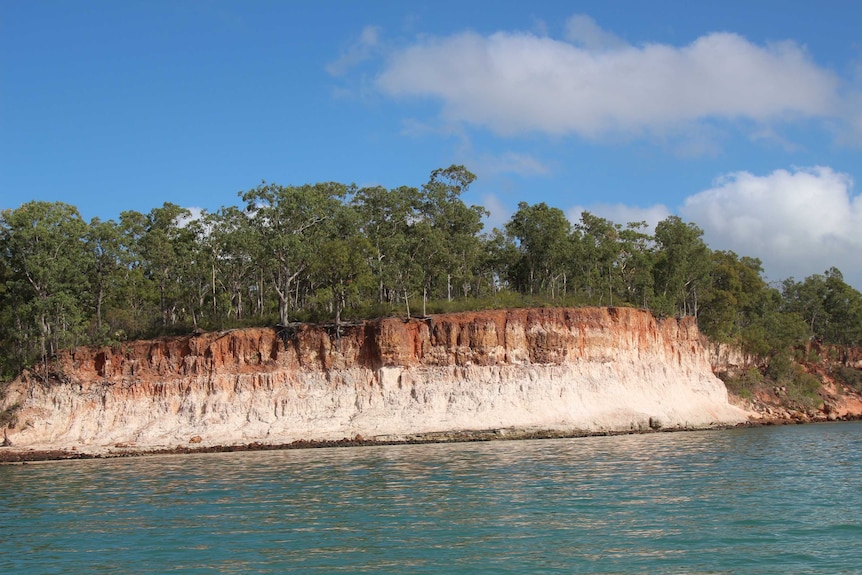 Wideshot of of a landscape of white cliffs, trees and sea.