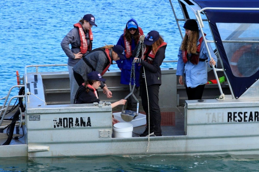 Students taking sediment samples off Maria Island