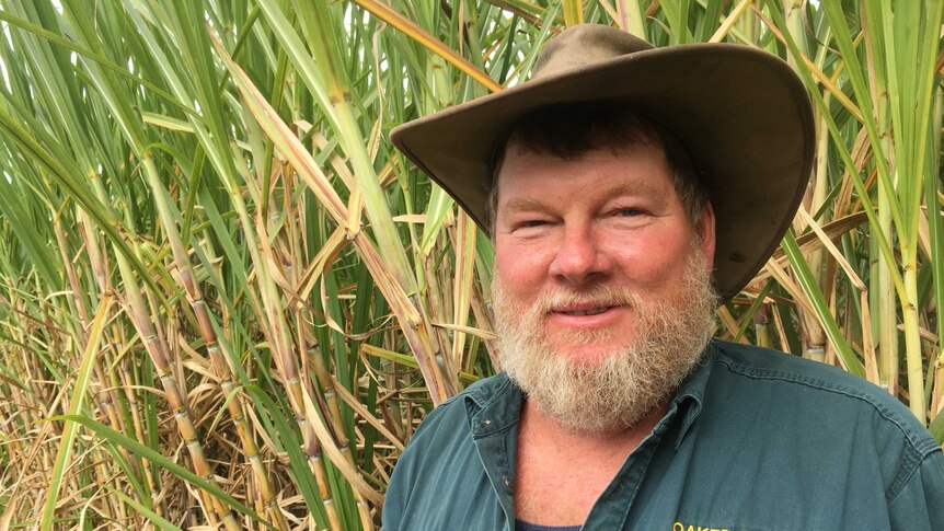 Gordon Oakes stands in a cane field.