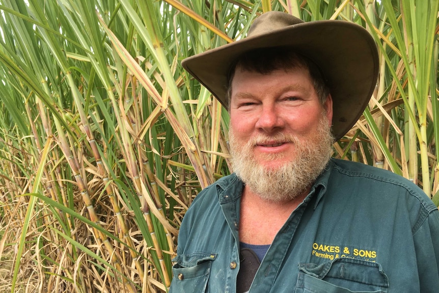 Gordon Oakes stands in a cane field.