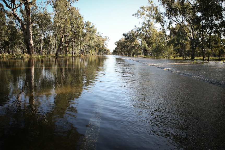 A flooded country road.