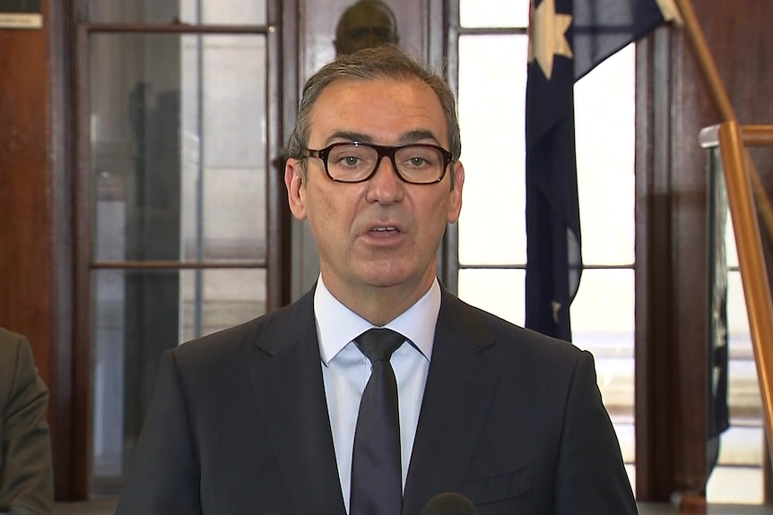 Premier Steven Marshall wearing a suit in parliament house with Christmas decorations behind him