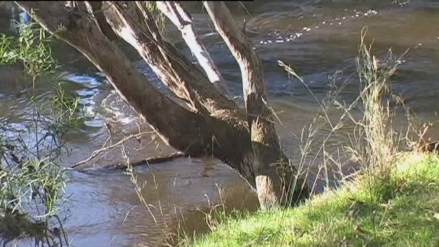 The Gwydir River, where the bodies of a woman and a girl were found