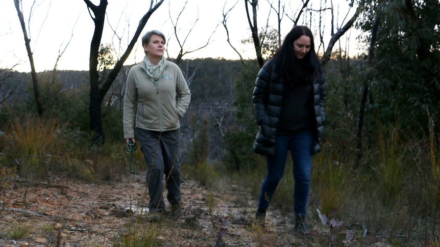 Dr Kellie Leigh and volunteer Kat Boehringer walk in fire-affected bushland in the Blue Mountains.