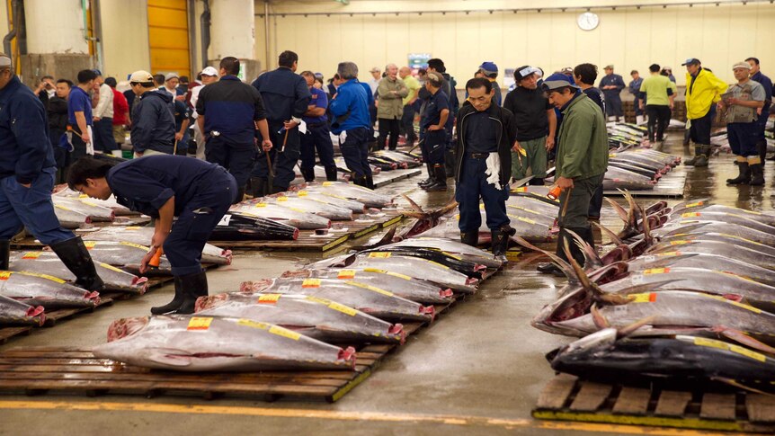 Buyers, workers and auctioneers at the final tuna auction.