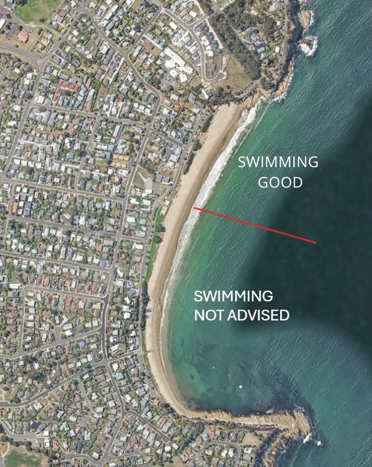 'There's no time frame': No-swim zone extended on Blackmans Bay beach