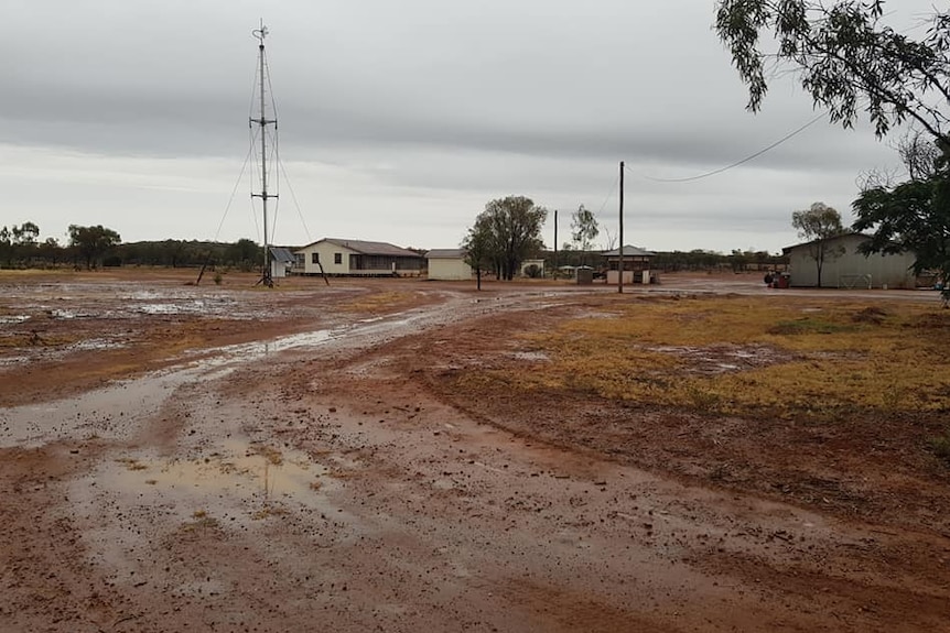 Puddles and a wet dirt road at a rural property with a house and dried grass