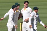 Pat Cummins is congratulated by his Australia teammates after claiming a South African wicket.