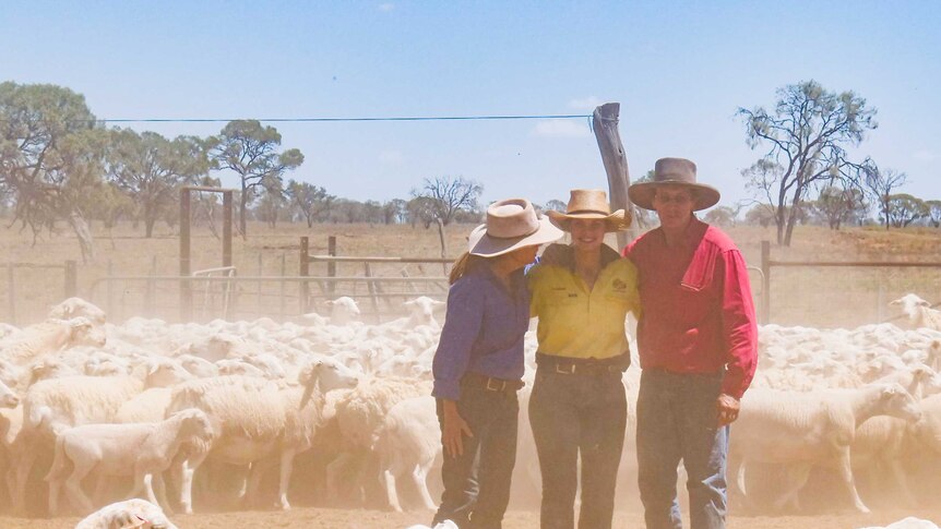 A family of three stand in a dusty stock yard full of sheep.