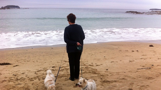 Carol and dogs on the beach