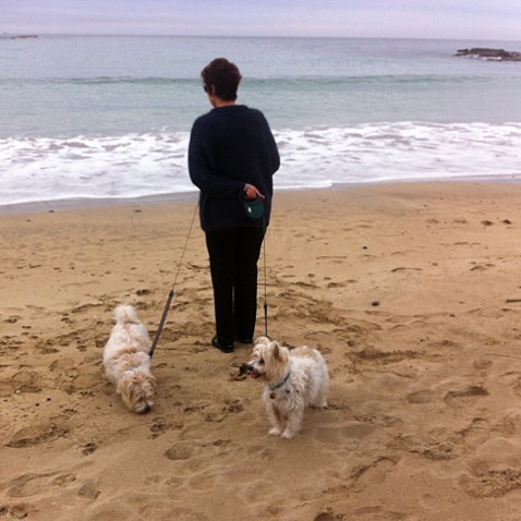 Carol and dogs on the beach