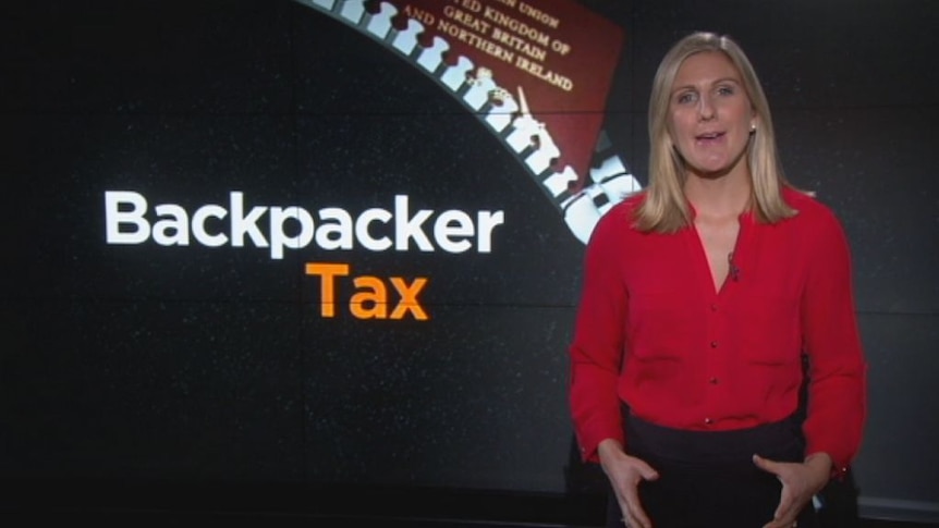 What is the backpacker tax and why is it delayed?