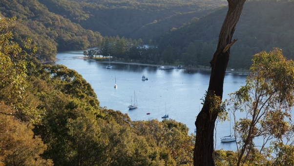 A peaceful, tree-lined reach of Pittwater that, for residents, is only accessible via boat. 