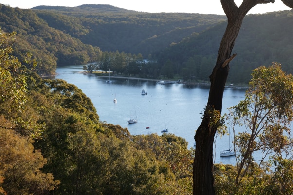 A peaceful, tree-lined reach of Pittwater that, for residents, is only accessible via boat. 