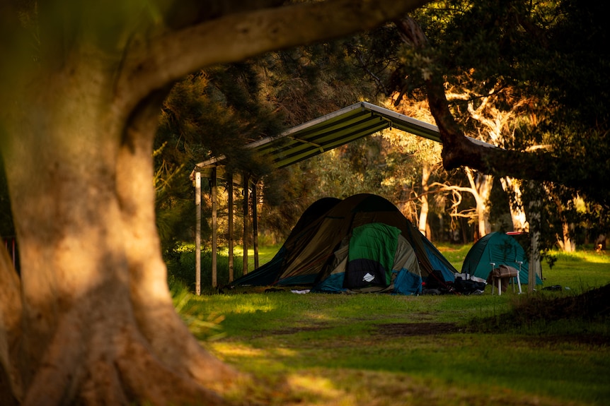 An image of tents in a park.
