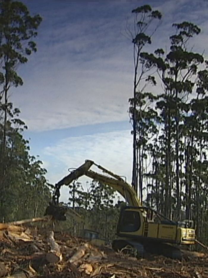 Tasmanian Govt Under Fire From Un Over Management Of Wilderness Area