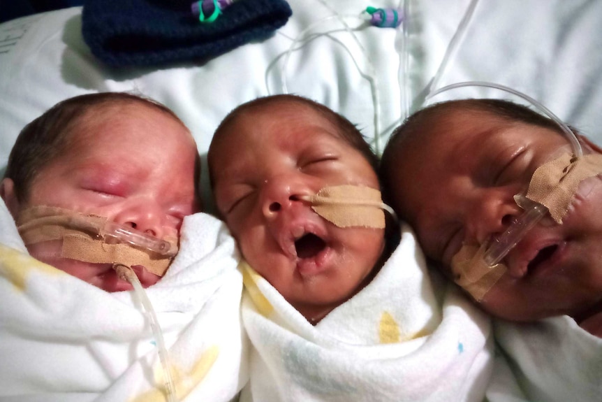 Newborn triplets, each tightly wrapped in blankets and with oxygen tubes, sleep close together in a hospital crib.
