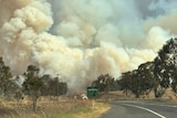 Bushfire smoke covers the sky above a highway 