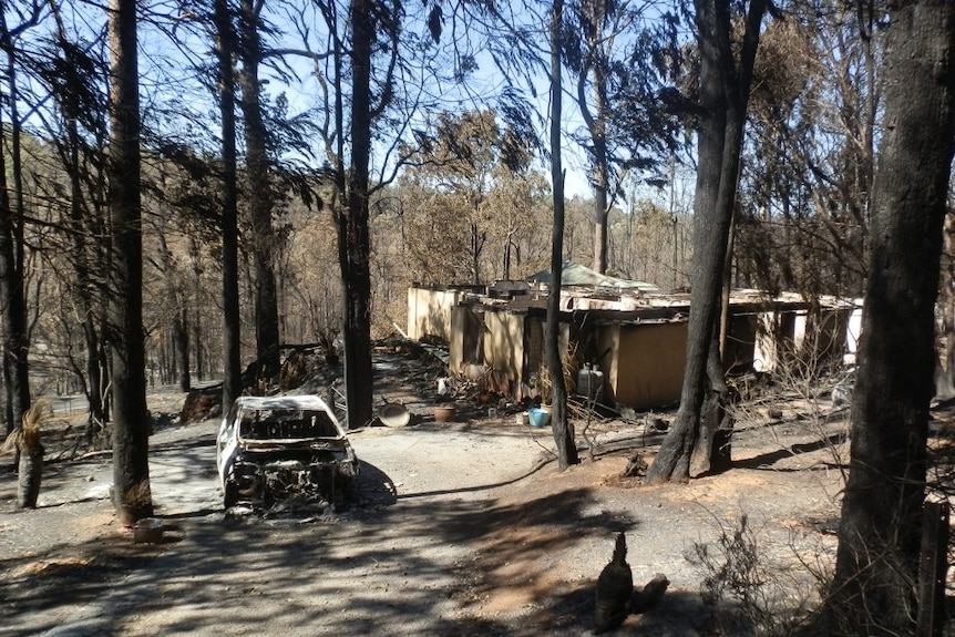 A burnt out house and car surrounded by burnt out trees