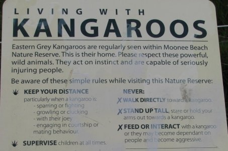 Kangaroo sign from NPWS on Coffs Coast