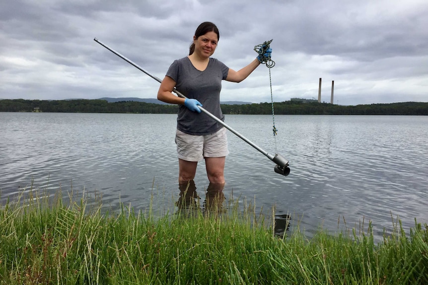 A woman wearing gloves stands in Lake Macquarie with water up to her knees and is holding a metal pole and rope