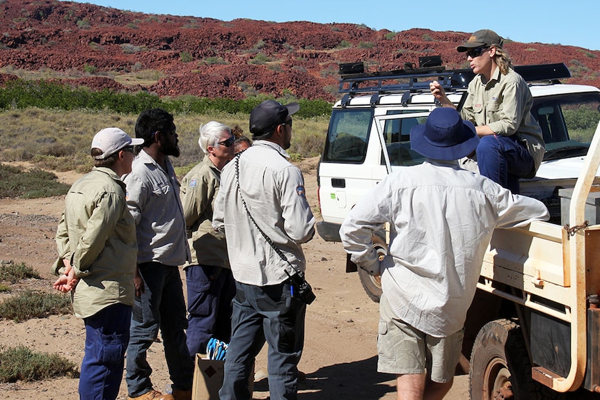 Parks and Wildlife officer Alicia Whittington briefs rangers before baiting.