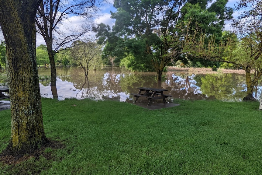 Forest Park Orbost flood
