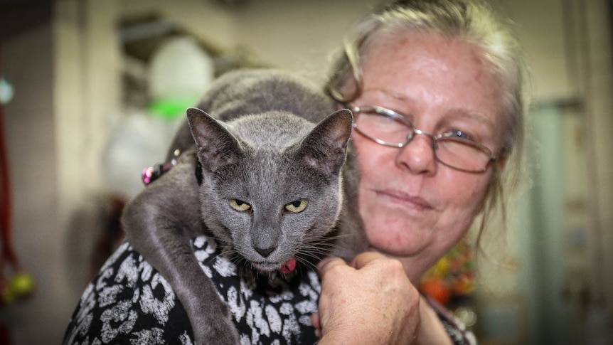 Woman with grey cat on shoulder