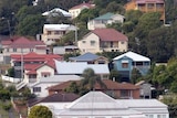 Houses on a hill in Brisbane