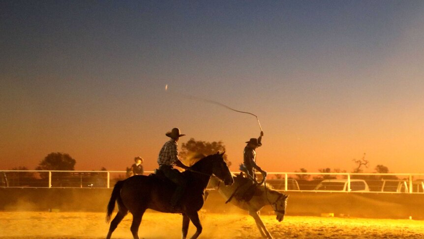 A man cracks a whip from the back of a bucking bronc at sunset, while a safety rider looks on.