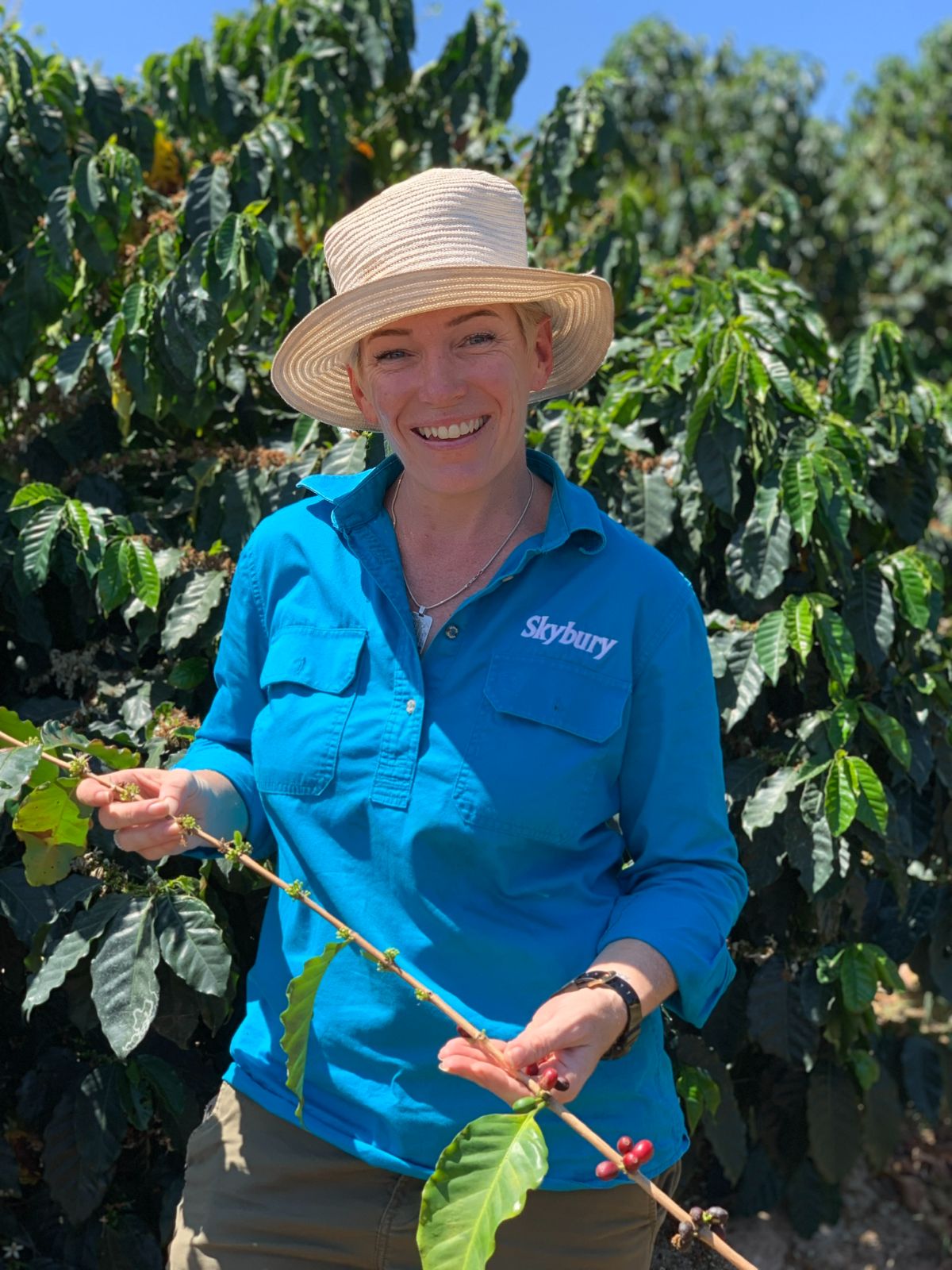 Australian coffee growers get innovative to encourage consumers to