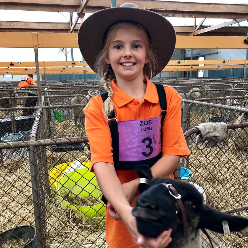 Young child and a sheep at Adelaide Showground