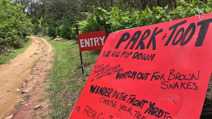 a big red sign labelled "park and toot, we'll pop down, watch out for brown snakes" sits at the entrance of the xmas tree farm