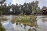 a river flowing high