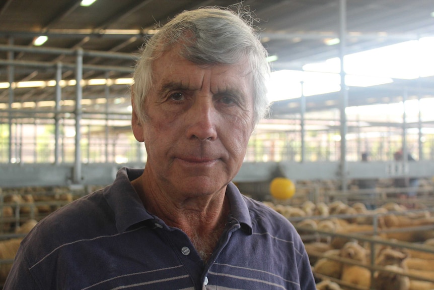 Peter Boyle debout devant des moutons dans sa ferme à York