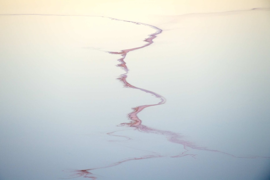 White salt and red coloured light make patterns on Lake Eyre North.