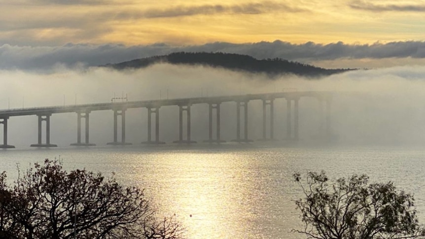 Thick white fog surrounding a large bridge