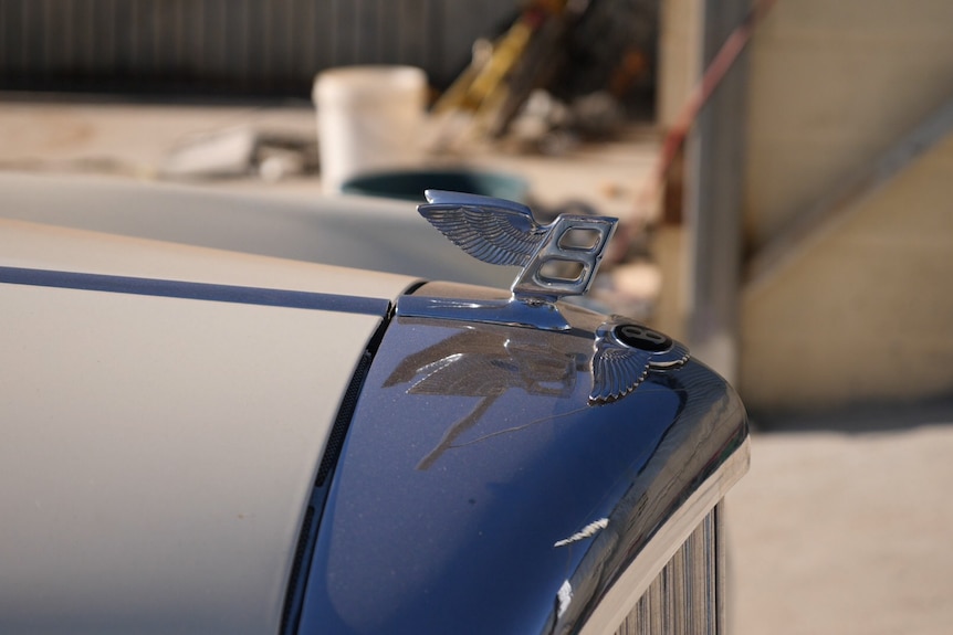 The hood ornament of a Bentley shining above blue and cream bonnet