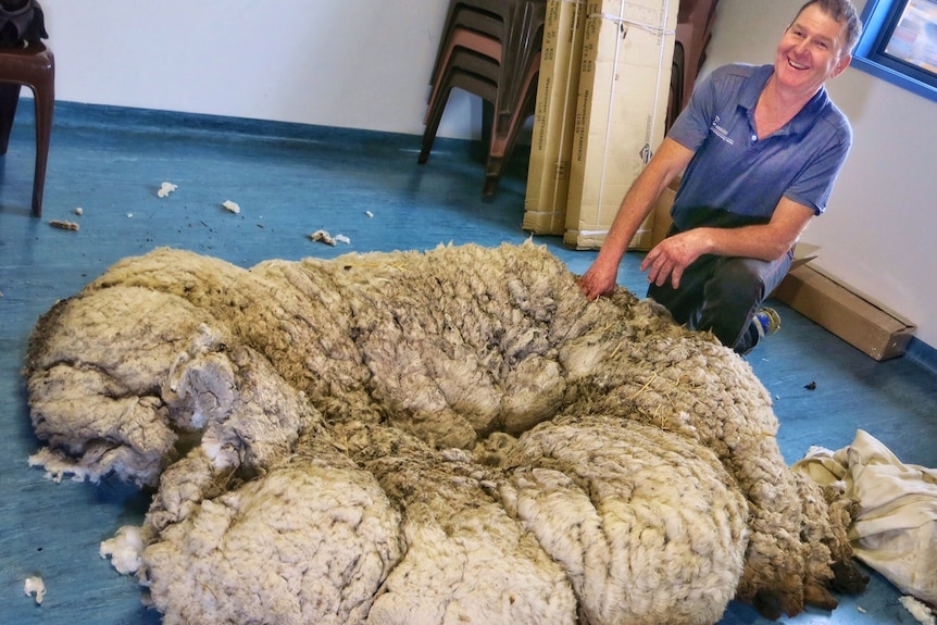 Champion shearer Ian Elkins posing with the 40 kilogram fleece