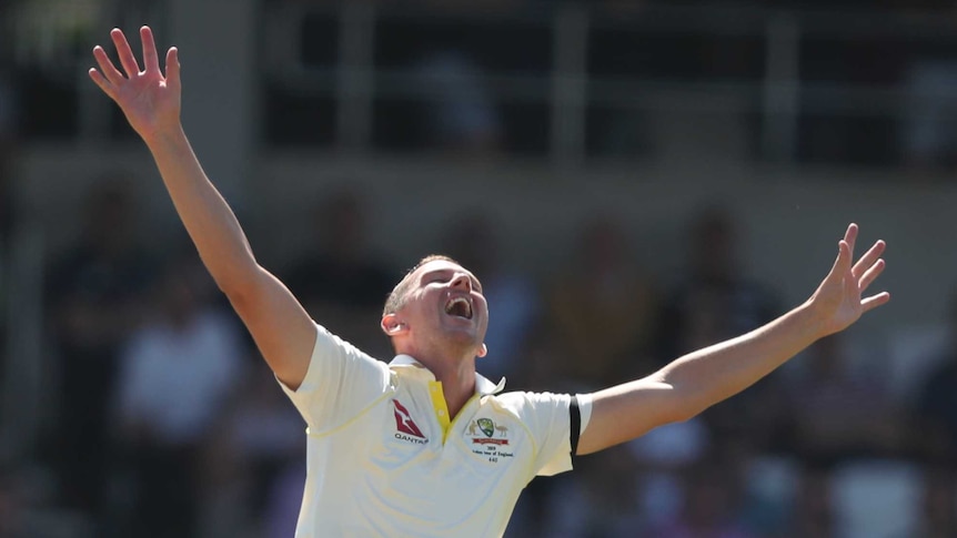 Josh Hazlewood spreads his arms in a joyous fashion