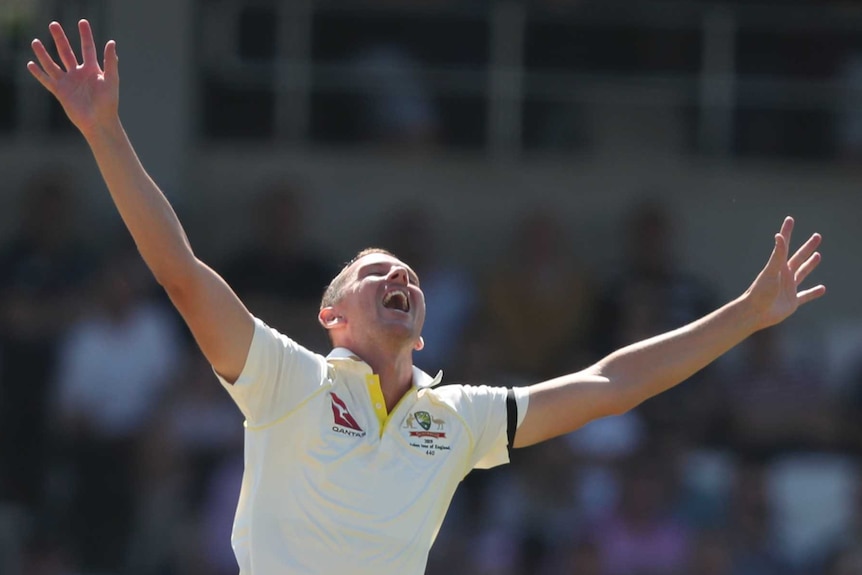 Josh Hazlewood spreads his arms in a joyous fashion