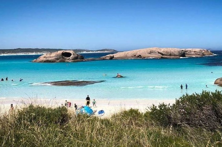 A beach setting with blue ocean and pristine sand