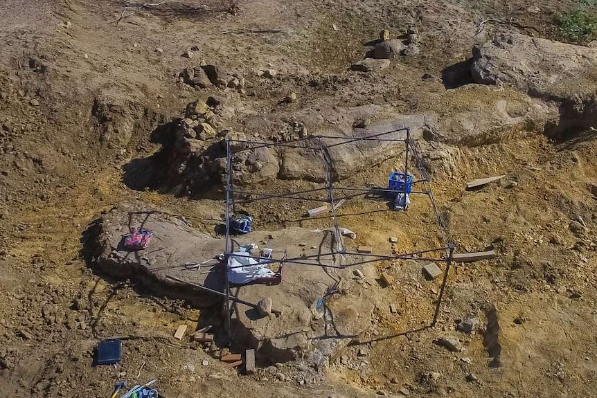 The dinosaur trackway was found in a creek bed at Karoola Station in outback Queensland