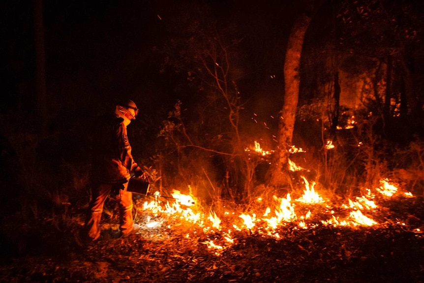 Volunteer helps with Blue Mountains back-burning (Photo: John Donegan)
