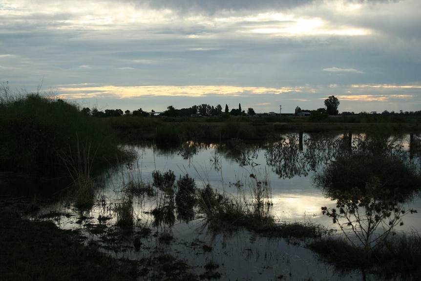 A rural setting at dusk.