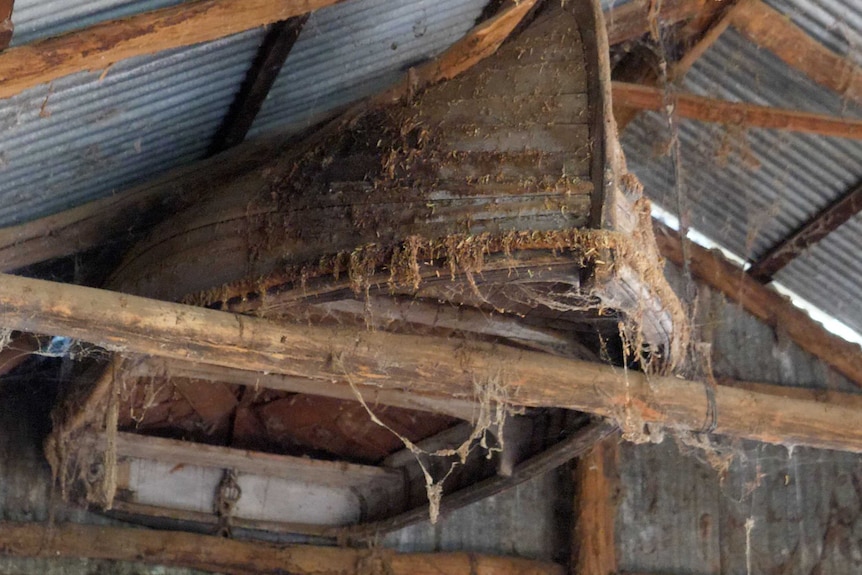 A old, dust and spiderweb-covered lifeboat sitting upside down in rafters of an old shed.