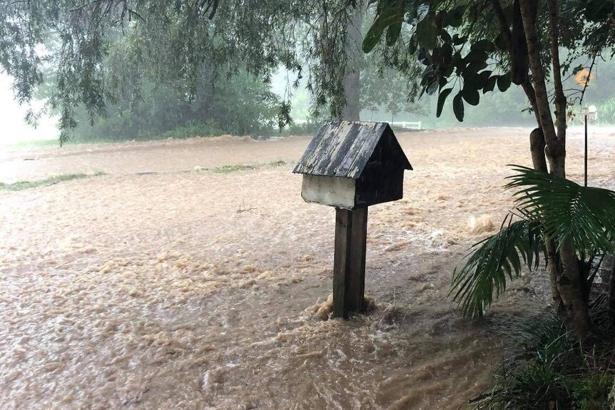 Floodwater rushes past a mailbox.
