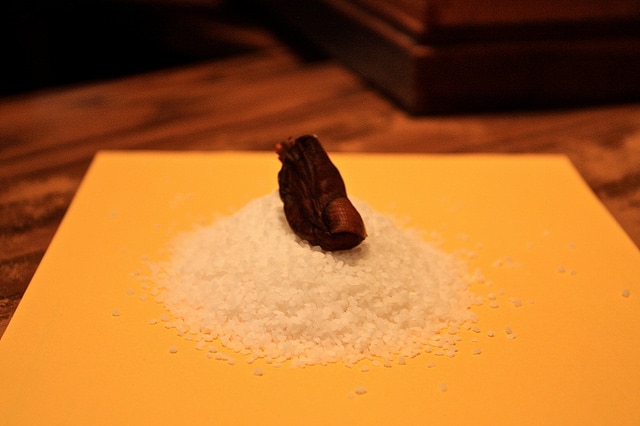 The frost bitten toe used in the Sourtoe Cocktail